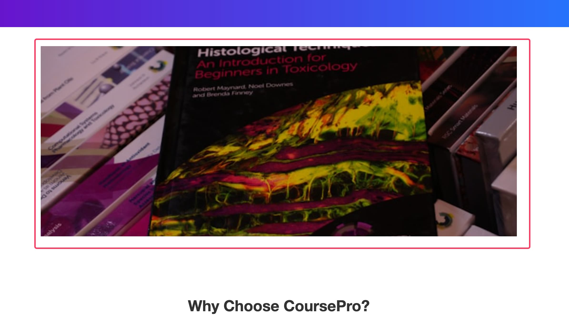 Screenshot der Website mit geöffneten Chrome DevTools, die den Slider und das Marquee ohne Steuerungselemente zeigen.