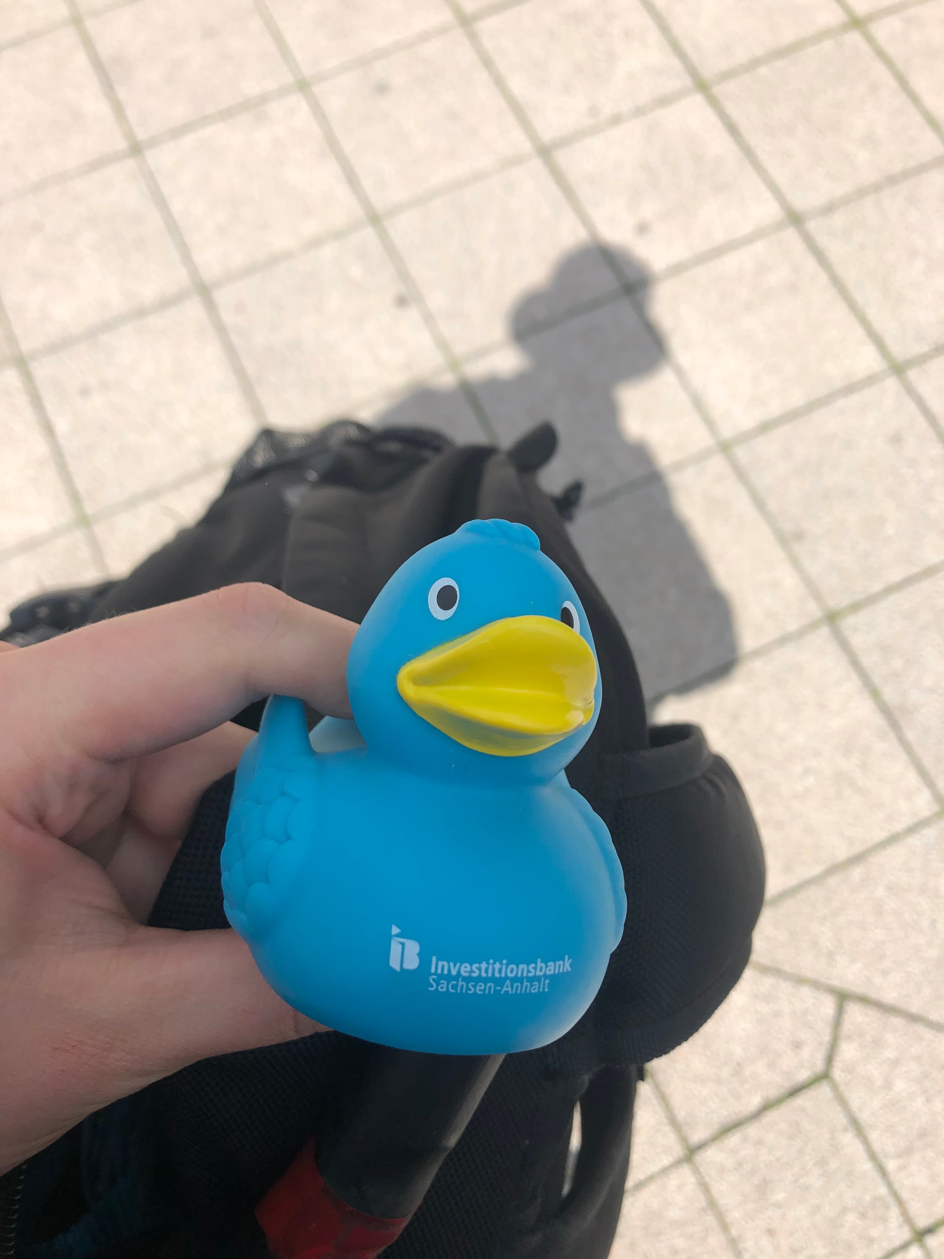 Investment Bank Saxony-Anhalt rubber duck