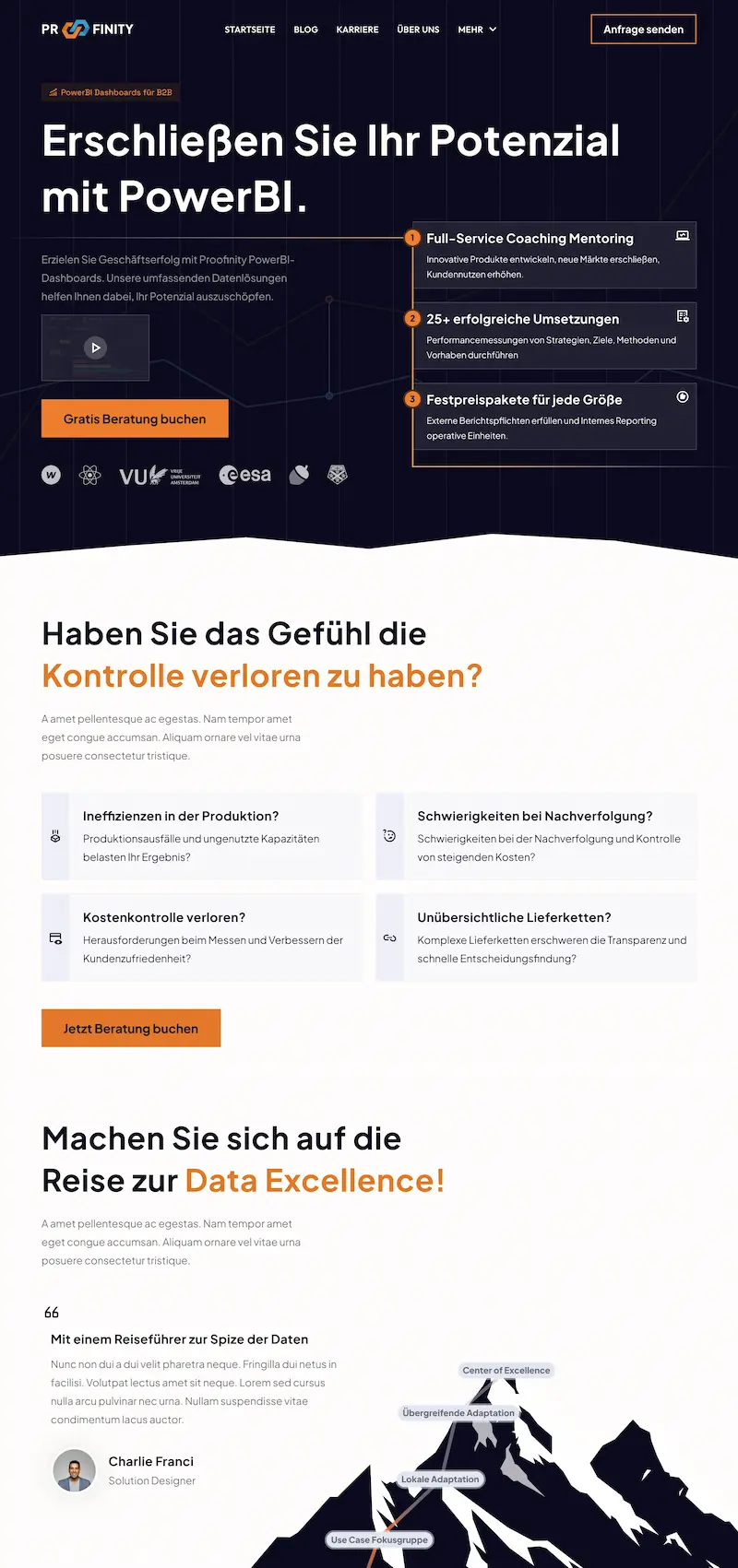 Homepage of a B2B website for PowerBI consulting